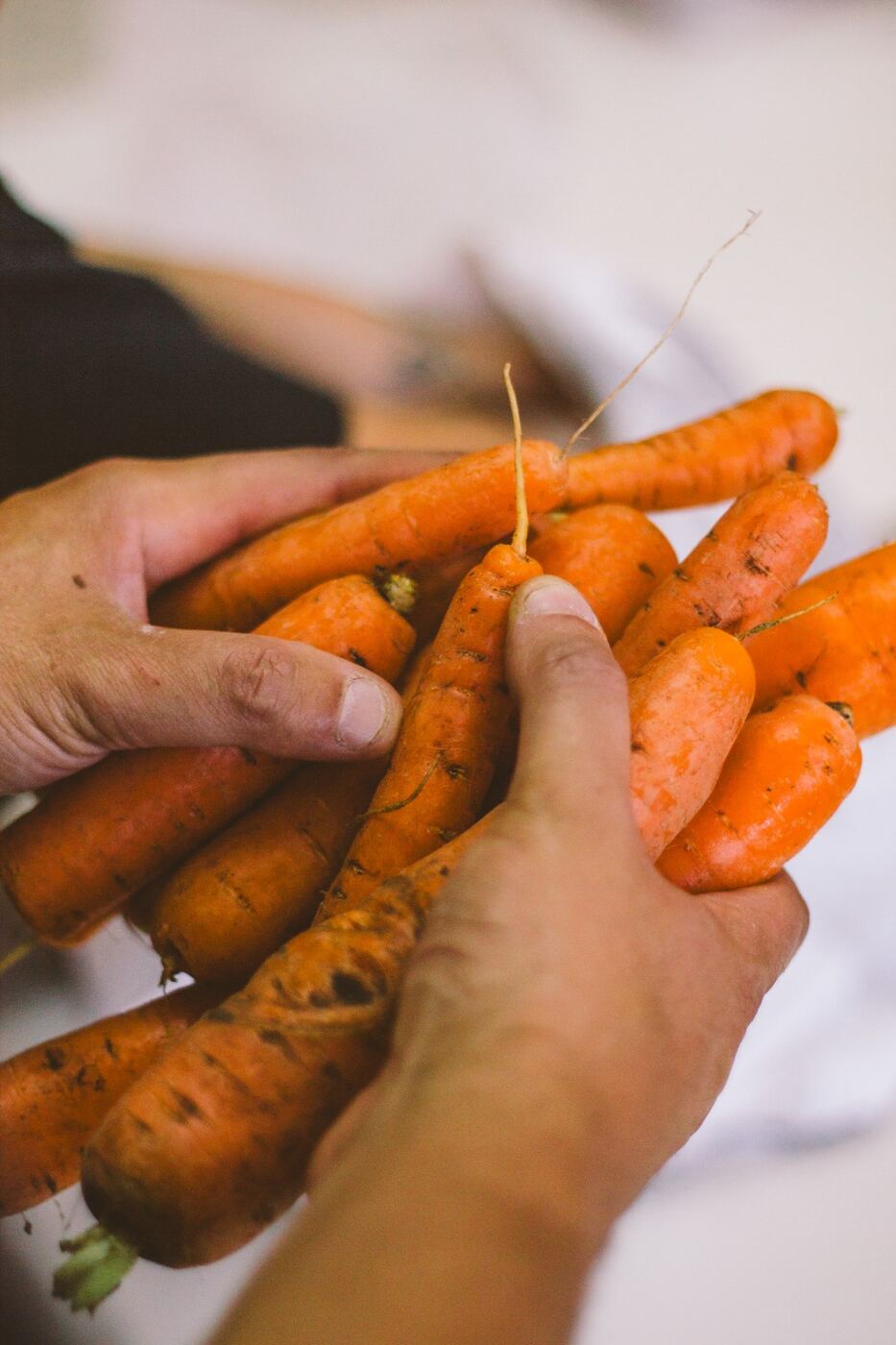 Zanahorias agroecológicas