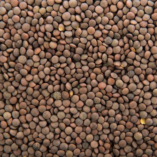 Lentejas - Salve la Tierra x 1 kg